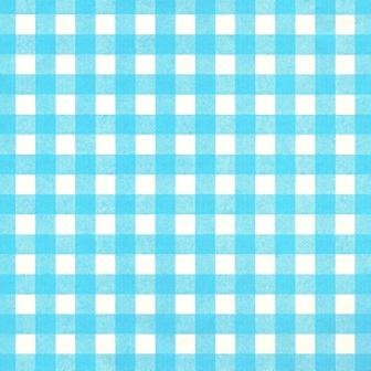 Gift paper counter rolls blue and white checkered on strong ribbed white paper.
 