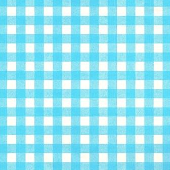 Gift paper counter rolls blue and white checkered on strong ribbed white paper.
 